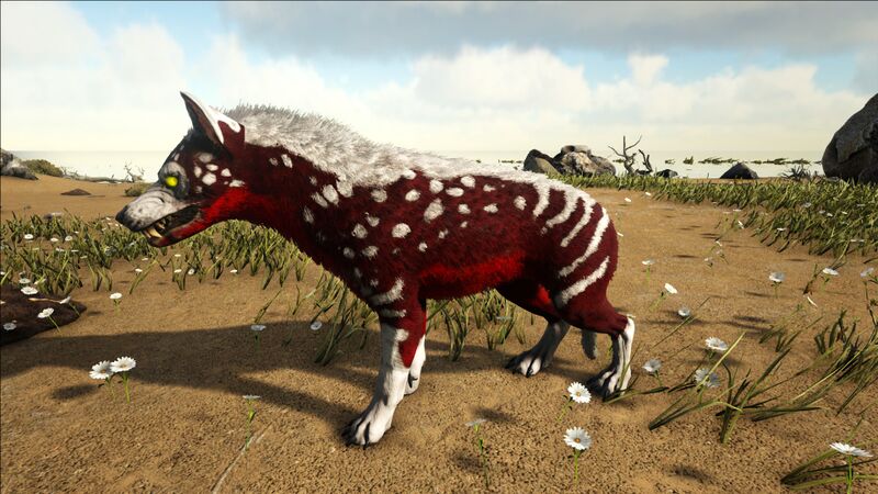 File:Alpha hyaenodon.jpg