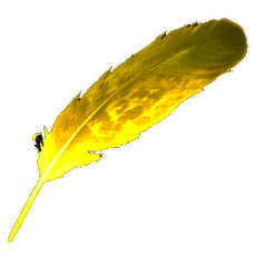 Electric Feather.png