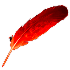 Fire Feather.png